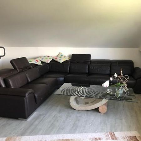 Ferienwohnung-Ameisenhardt Шляйден Екстер'єр фото