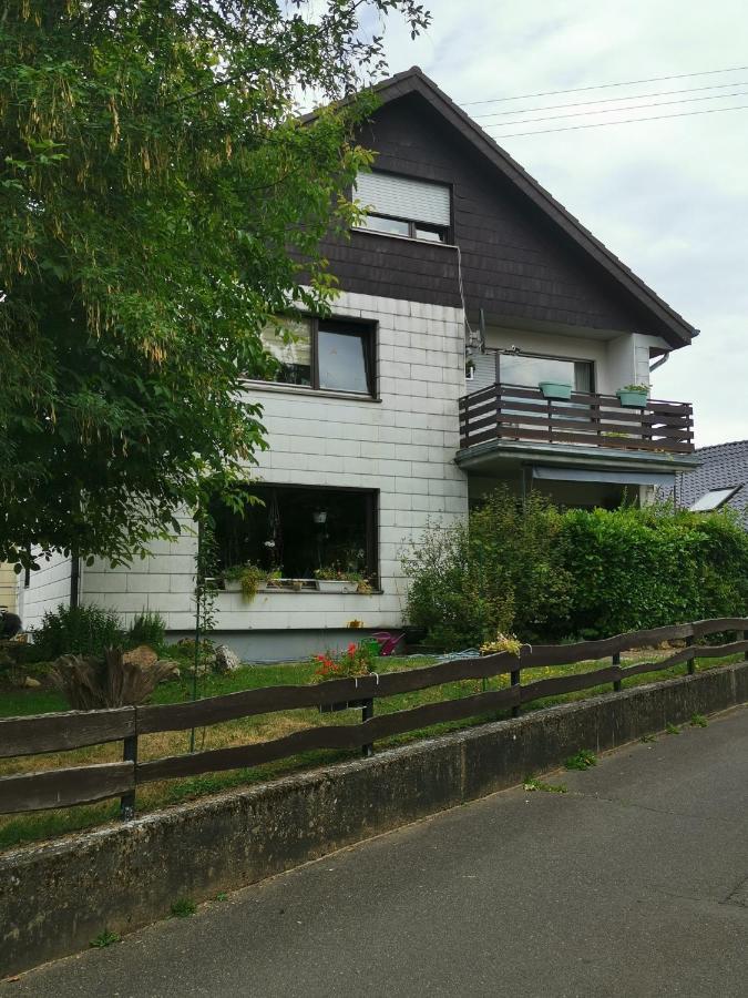 Ferienwohnung-Ameisenhardt Шляйден Екстер'єр фото